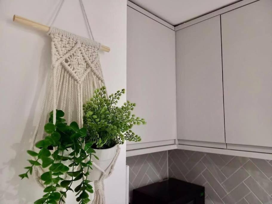 Flash Sale Kemptown 1 Bedroom Flat Bn236Stg04 برايتون المظهر الخارجي الصورة